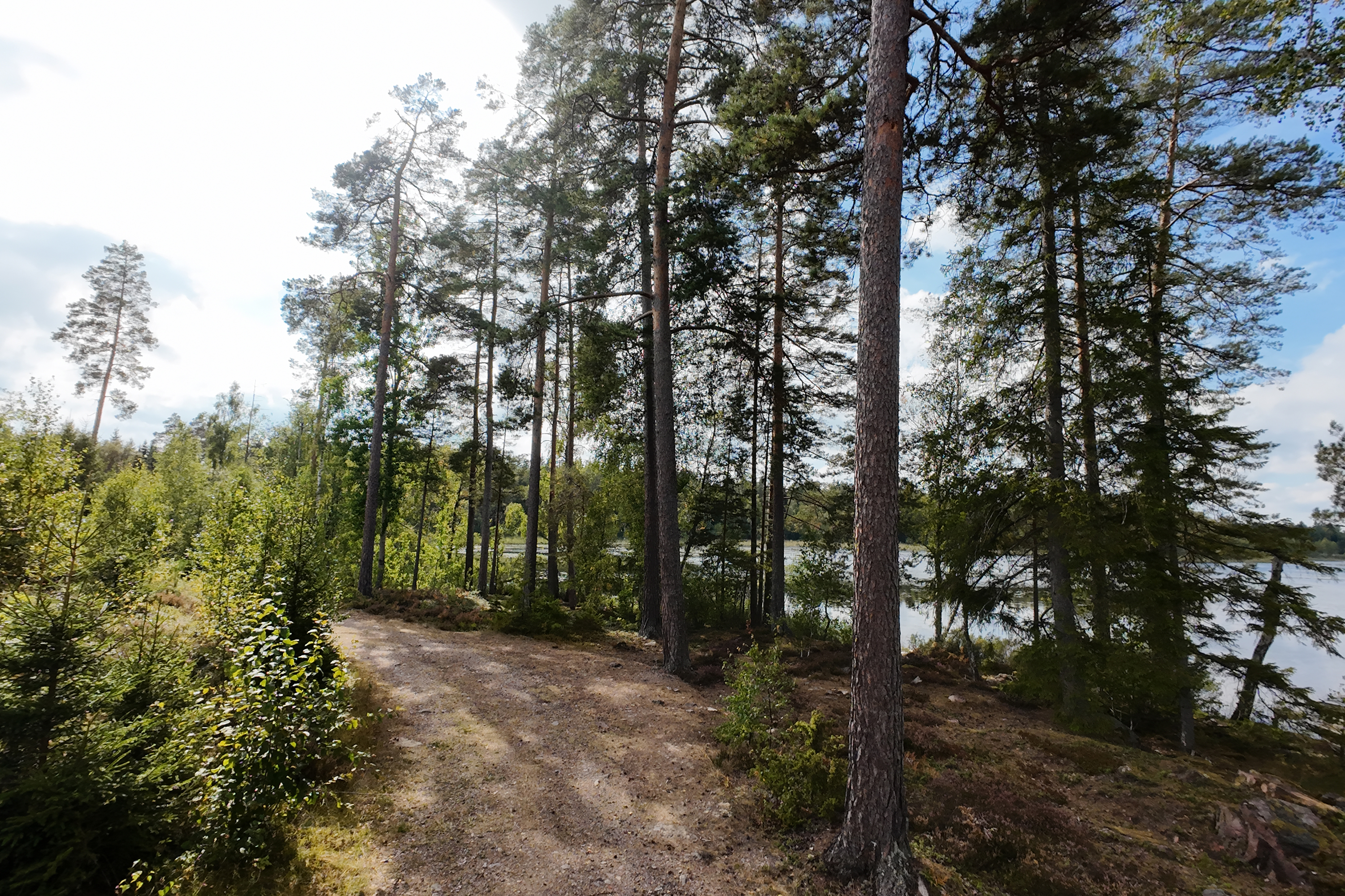 Detalj